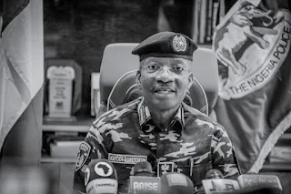 South-East Killings: Nigerian Police IG Set To Menace