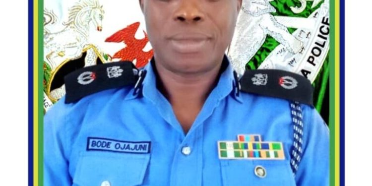 Interpol Africa Committee: Bode Olajuni Elected As 5th Member