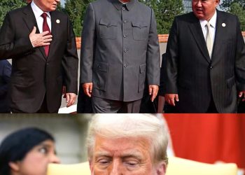 Trump accuses China, Russia, North Korea of plotting against USA