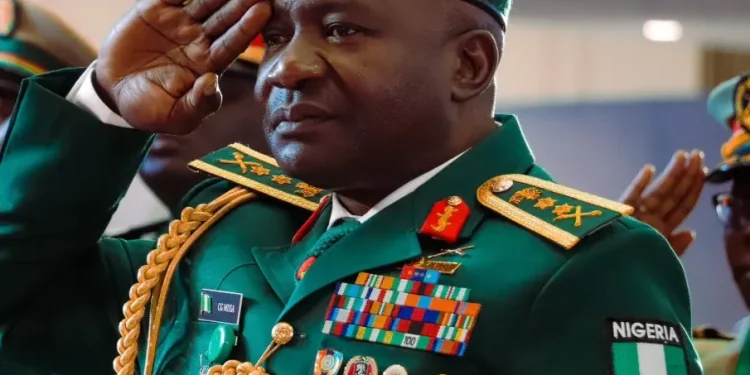 Senate confirms ex-CDS Musa as defence minister after screening