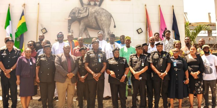 AIG Zone 2, AIG Olorundare Jimoh decorates newly promoted ACPs, calls for professionalism, discipline