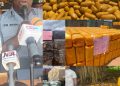 Ogun Customs Intercepts N6.7bn Worth Of Cannabis, Rice, Other Contraband In 41 Days
