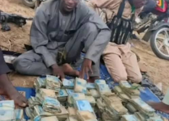 Breaking News: Senate Orders Arrest of Bandits Flaunting Cash on TikTok