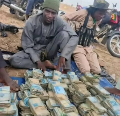 Breaking News: Senate Orders Arrest of Bandits Flaunting Cash on TikTok