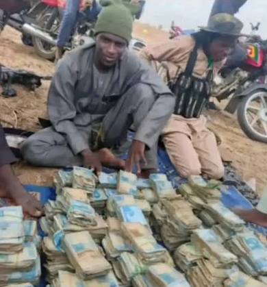 Breaking News: Senate Orders Arrest of Bandits Flaunting Cash on TikTok