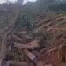 NRC, NSCDC FOIL ATTEMPTED VANDALISM OF RAILWAY SIDING AT DANGOTE STEEL ROLLING MILLS, OSOGBO