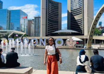 How Nigerians Abroad Can Grow Wealth at Home